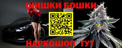 МДПВ Моздок