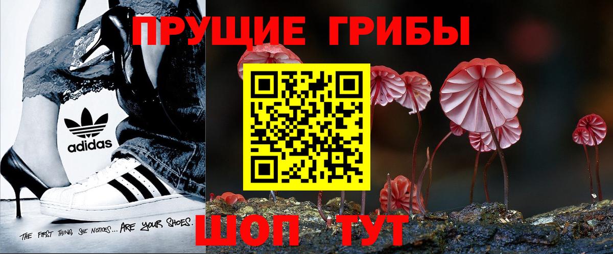 Галлюциногенные грибы Psilocybe Томск