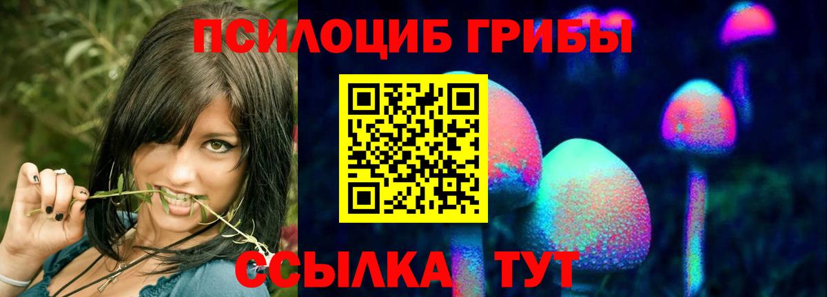 наркотики  Вход с VPN  Томск  Псилоцибиновые грибы Psilocybe 
